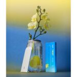 Ripple⁺ Yuzu – Citrus Aroma Aromatherapy Diffuser - Image 5